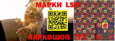 индика Кандалакша