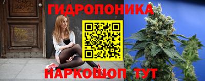 ECSTASY Камышлов