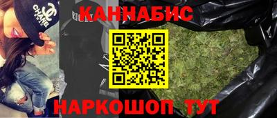 индика Кандалакша