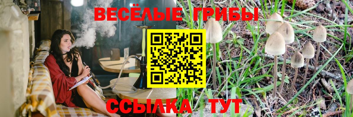 Псилоцибиновые грибы Magic Shrooms Мелеуз